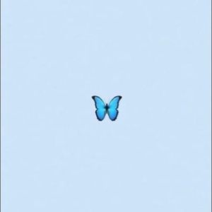 Meet your Posher, Leila